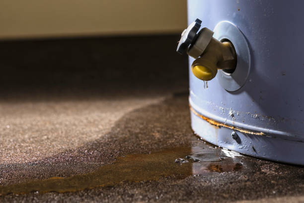 Best Ceiling water damage repair  in Huntington Beach, CA