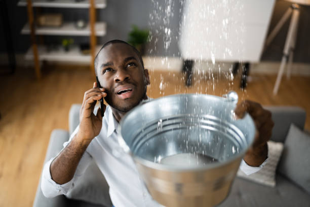 Best Professional water damage repair  in Huntington Beach, CA