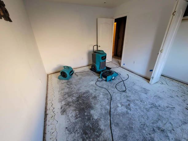 Best Local water damage restoration  in Huntington Beach, CA