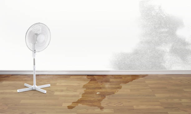 Best Basement water damage restoration  in Huntington Beach, CA