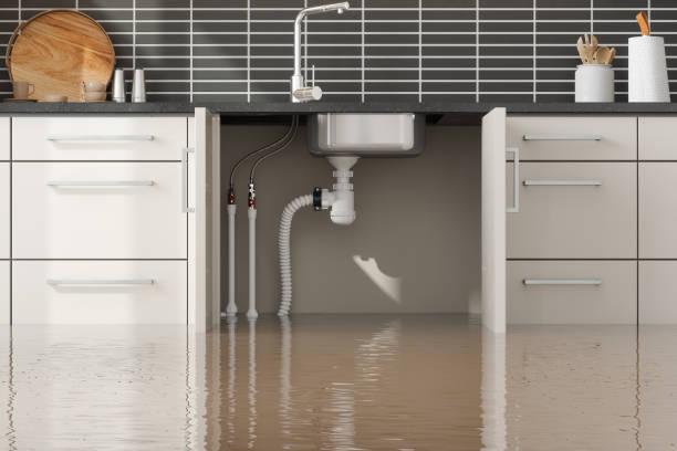 Best Water damage contractors near me  in Huntington Beach, CA