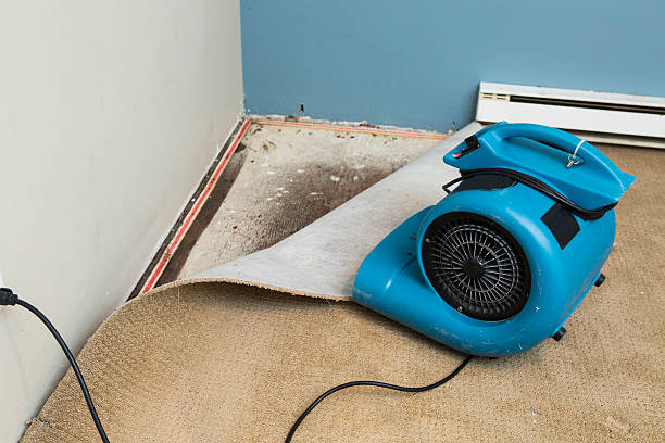 Best Carpet water damage restoration  in Huntington Beach, CA